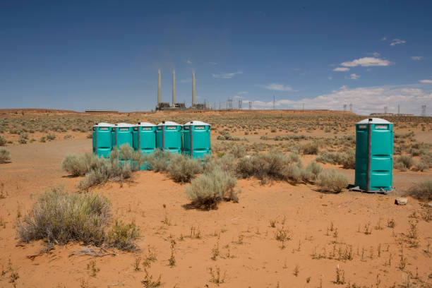 Best Grass Overseeding  in Corrales, NM